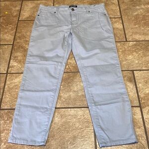 Buffalo David Bitton Mid-Rise Skinny Stretch Ankle Light Blue Jeans Sz 10